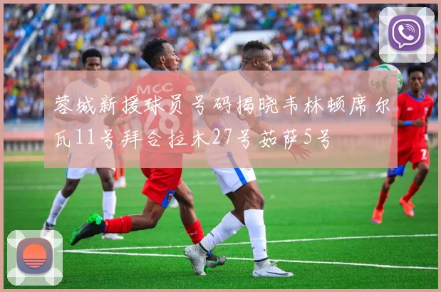 蓉城新援球员号码揭晓韦林顿席尔瓦11号拜合拉木27号茹萨5号